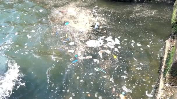 Müll Und Müll Treiben Auf Der Wasseroberfläche Wasserverschmutzung Durch Schmutzigen — Stockvideo