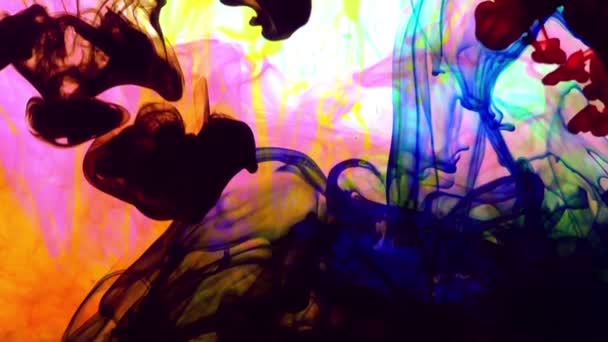 1920X1080 Fps Very Nice Abstract Colorful Paint Color Spreading Water — Stok Video