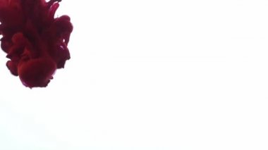 Su arka plan doku videoda yayılan 1920 x 1080 25 Fps. çok güzel soyut renkli boya rengi.