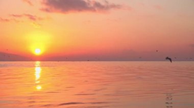 Çok güzel usulca bulutlar ve deniz günbatımı deniz manzarası Video.
