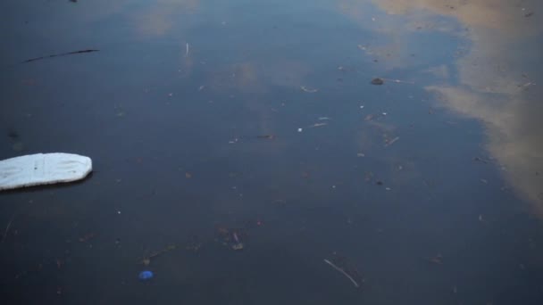쓰레기와 쓰레기는 표면에서 떠다니고 바다의 위에서 떠다니는 더럽고 플라스틱같은 쓰레기로 — 비디오