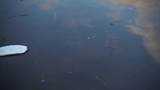 Trash Garbage Floating Surface Water Water Pollution Dirty Plastic Garbage — Stock Video