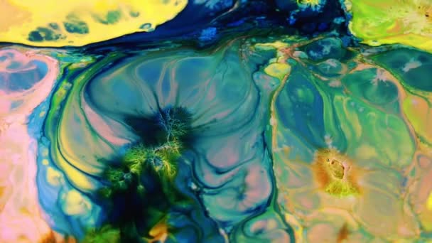 1920X1080 Fps Very Nice Abstract Colorful Vibrant Swirling Colors Explosion — Stock Video