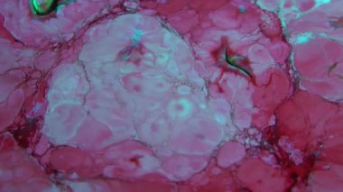 Soyut renkler boya dönen ve patlama yayılıyor. Bu 1920 x 1080 (Hd) görüntüleri görsel efekt ve hareketli grafikler için etkileyici bir organik geçmiş olduğunu. Bu, bir sonraki filmi, film veya belgesel harika görünecek. İzleyiciler hayret ve al