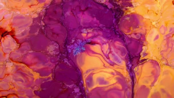 Abstract Colours Spreading Paint Swirling Blast 1920X1080 Footage Amazing Organic — Stock Video