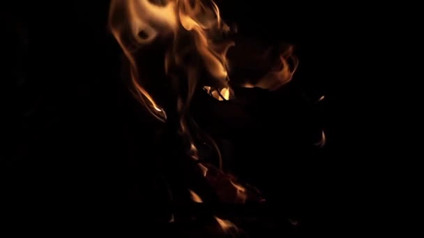 Burning Wood Fire Flames Close Shot Pile Firewood Burning Night — Stock Video