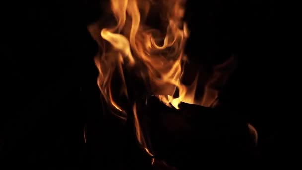 Burning Wood Fire Flames Close Shot Pile Firewood Burning Night — Stock Video