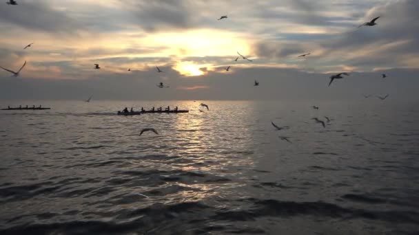 Una Bandada Gaviotas Puede Ver Volando Sobre Océano Video Cámara — Vídeos de Stock