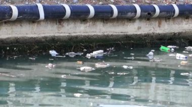 Çöp ve çöp suyun yüzeyinde yüzüyordu. Deniz yüzeyinde kirli ve plastik atık yüzen su kirliliği. 