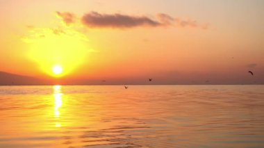 Golden Sunset ve sarı güneş ışınları, okyanus