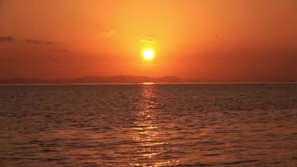 Golden Sunset Και Κίτρινες Ακτίνες Του Ήλιου Ωκεανό — Αρχείο Βίντεο