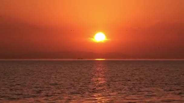 Coucher Soleil Doré Rayons Soleil Jaunes Océan — Video