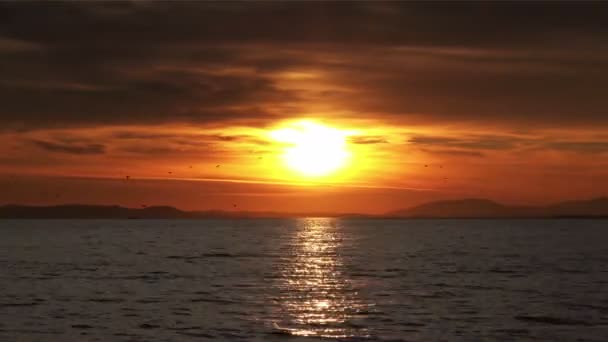 Mer océan coucher de soleil lever de soleil ciel eau plage paysage nuages horizon vue nature fond 