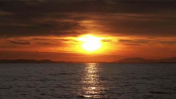 Mar Oceano Pôr Sol Sol Sol Céu Água Praia Paisagem — Vídeo de Stock