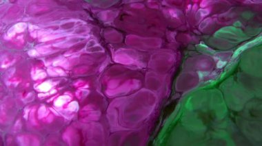 1920 x 1080 25 Fps. çok güzel soyut renk tasarım renkli girdap doku arka plan Ebru Video.