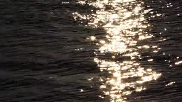 Very Nice Sea Sparks Vatten Reflektion Video — Stockvideo