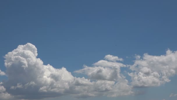 Wide Angle Shot Sky Clouds Stock Video Shows Time Lapse — 비디오