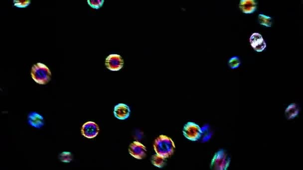 Countless Bubbles Being Blown Dark Background Flying Rapidly Different Directions — Stock Video