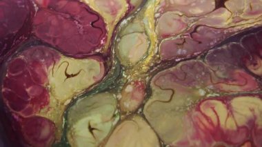 1920 x 1080 25 Fps. çok güzel mürekkep soyut sanat konusunda hava atan desen renk boya sıvı kavramı doku Video.