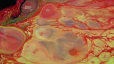 1920 x 1080 25 Fps. çok güzel soyut renkli canlı dönen renkler patlama boya patlama doku arka plan Video.