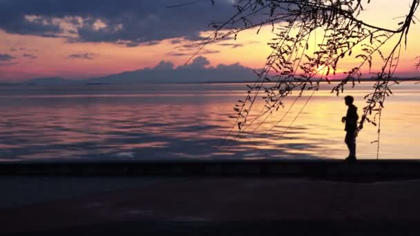 Mycket Trevlig Silhuett Ung Man Promenader Stranden Film — Stockvideo