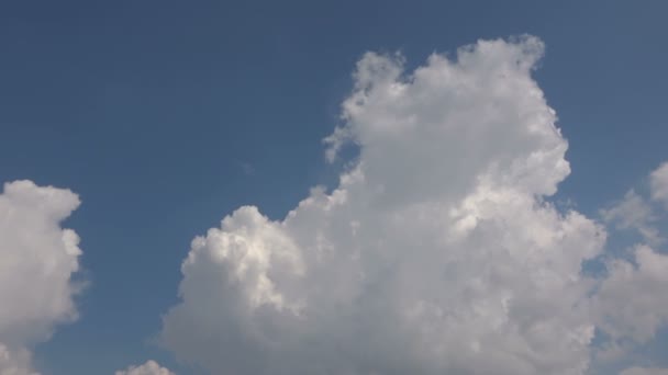 Close Nuvens Cumulus Fundo Céu Azul Claro — Vídeo de Stock