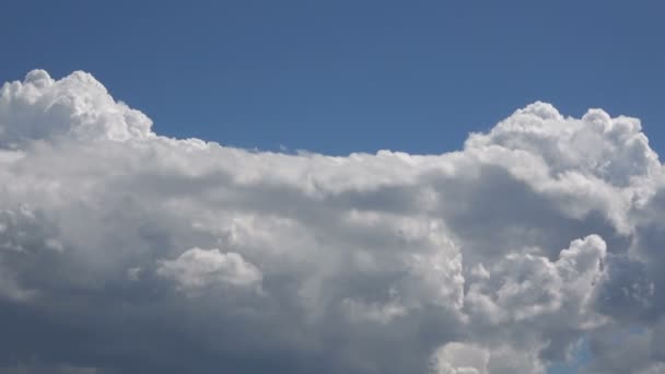 Primer Plano Nubes Cúmulos Fondo Cielo Azul Claro — Vídeo de stock