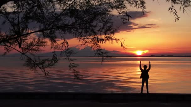 Velmi Pěkný Osamělý Muž Sunset Beach Záběry — Stock video