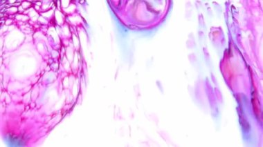 1920 x 1080 25 Fps. çok güzel mürekkep soyut Psychedelic boya sıvı hareketli arka plan doku Video.