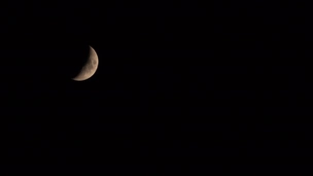 Moon Moving Night Sky — Stock Video
