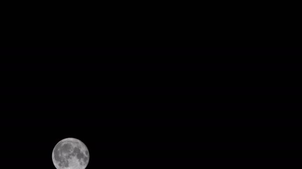 Luna Che Muove Nel Cielo Notturno — Video Stock