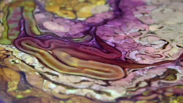 Tinta Pintura Colorida Abstrata Explode Difusão Psychedelic Explosão Movimento — Vídeo de Stock