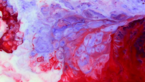 Αφηρημένη Πολύχρωμο Μελάνι Χρώμα Έκρηξη Διάχυση Psychedelic Κίνημα Έκρηξη — Αρχείο Βίντεο