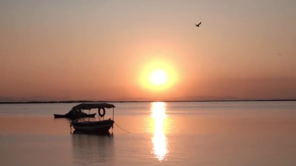 1920X1080 Fps Very Nice Fishing Boat Floating Golden Sunset Yellow — Stock Video