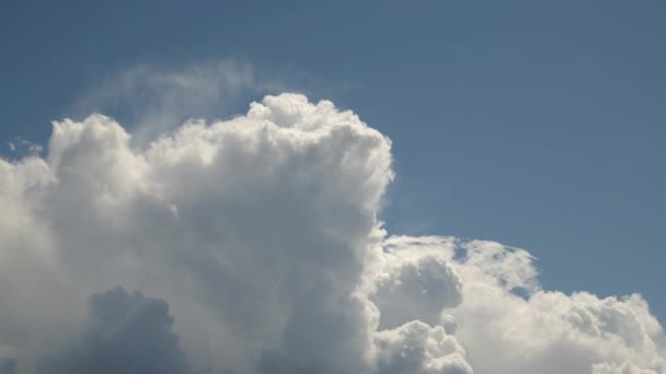 Ljusa Cumulus Regn Moln Rör Sig Himlen — Stockvideo