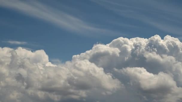 Ljusa Cumulus Regn Moln Rör Sig Himlen — Stockvideo