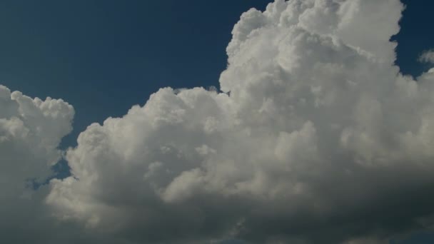 Fényes Kumulus Esőfelhők Mozognak Égen — Stock videók