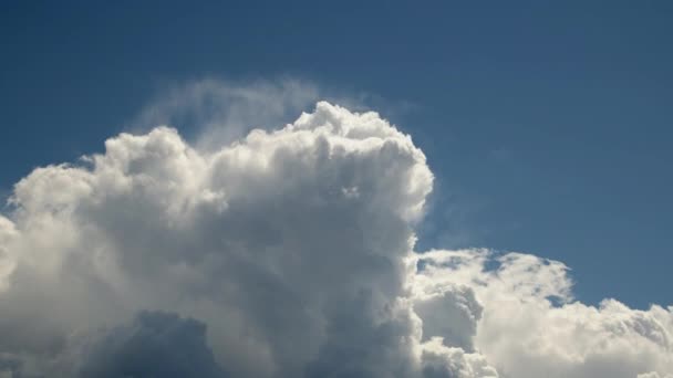 Helle Cumulus Regenwolken Ziehen Himmel — Stockvideo