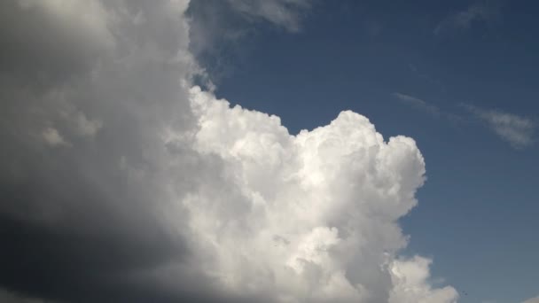 Ljusa Cumulus Regn Moln Rör Sig Himlen — Stockvideo