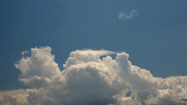 비구름 이하늘을 — 비디오