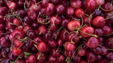 Taze Kirazların Doli Şat Çekimi.