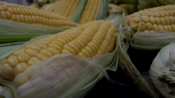 Крупный План Sweet Yellow Corn Footage — стоковое видео