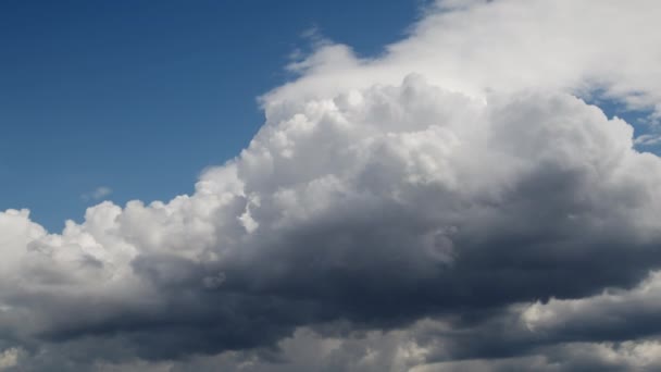 Bright Cumulus Rain Clouds Moving Sky Clean Clear Cumulus Rain — Stock video