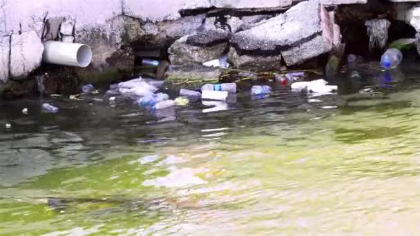 塑料环境污染与老鼠形象 — 图库视频影像