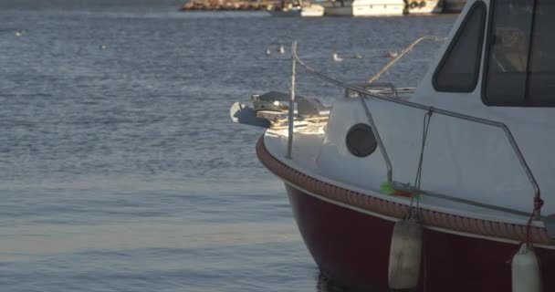 Trä Fiskebåtar Marina — Stockvideo