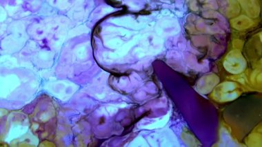 Soyut Renkli Mürekkep Sıvı Patlaması Pshychedelic Boya Patlaması Hareketi