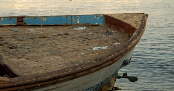 Barcos Pesca Madeira Marina — Vídeo de Stock