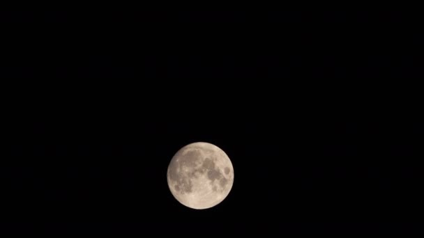 満月と夜の暗い雲 闇の空の動きの満月 — ストック動画