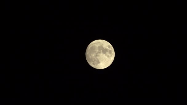 Полная Луна Тёмные Облака Ночи Полнолуние Движении Темного Неба — стоковое видео