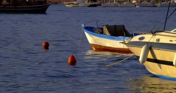 Barcos Pesca Madeira Marina — Vídeo de Stock